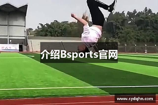 介绍Bsports官网